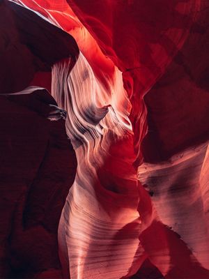 ANTELOPE 01