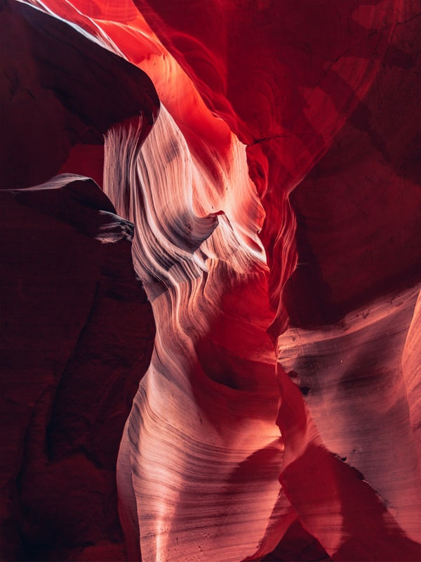 ANTELOPE 01