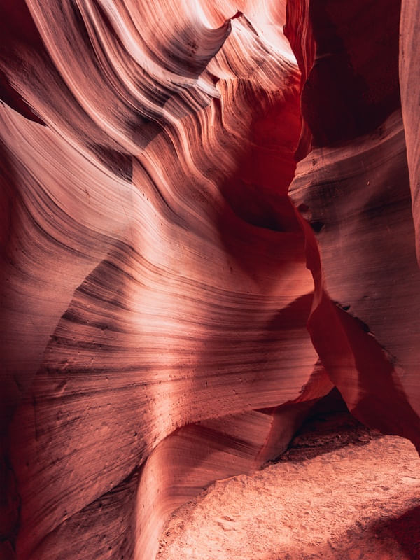 ANTELOPE 02