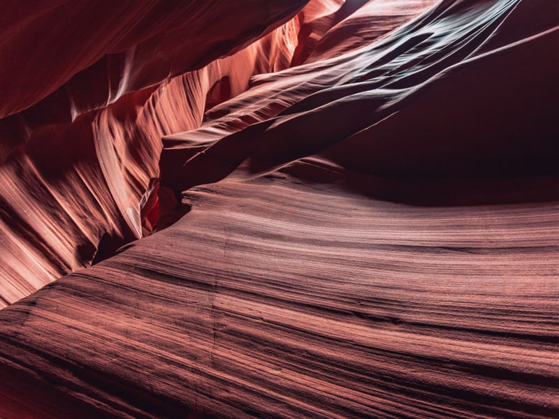 ANTELOPE 03