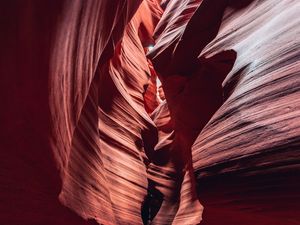 ANTELOPE 04