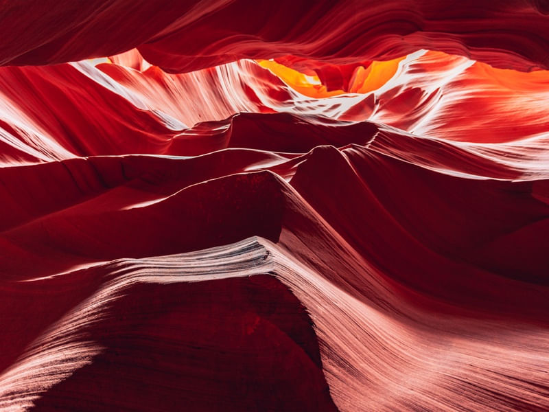 ANTELOPE 05