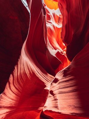 ANTELOPE 06