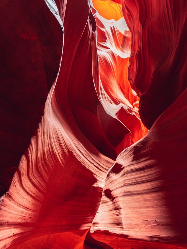 ANTELOPE 06