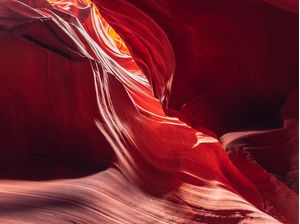 ANTELOPE 07