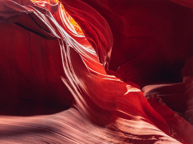 ANTELOPE 07