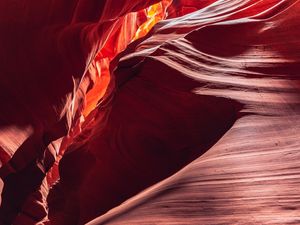 ANTELOPE 08
