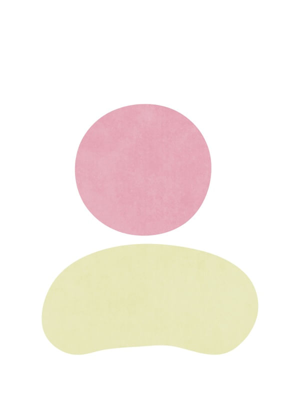 LANDSCAPE SHAPES 19
