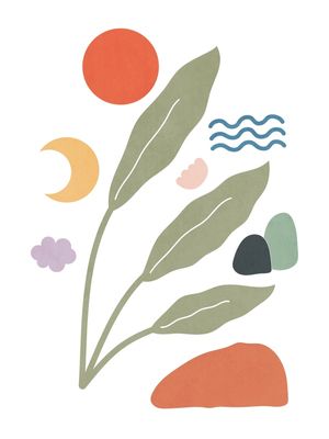 NATURE SHAPES 29