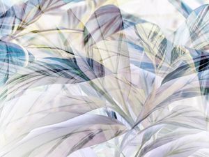 LIGHT OF SHADOW III