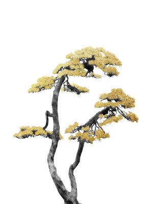 BONSAI TREE 06