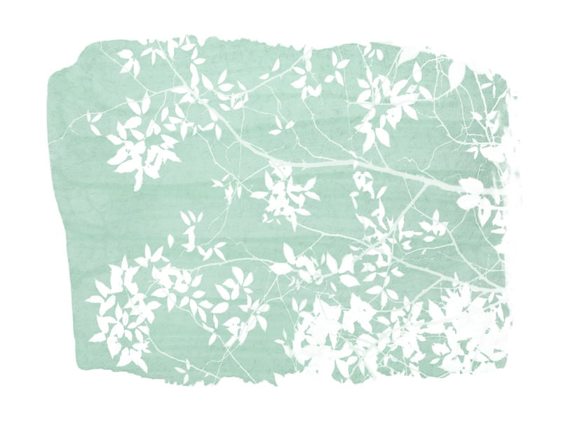 FOLIAGE ON MINT GREEN