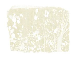 FOLIAGE ON BEIGE