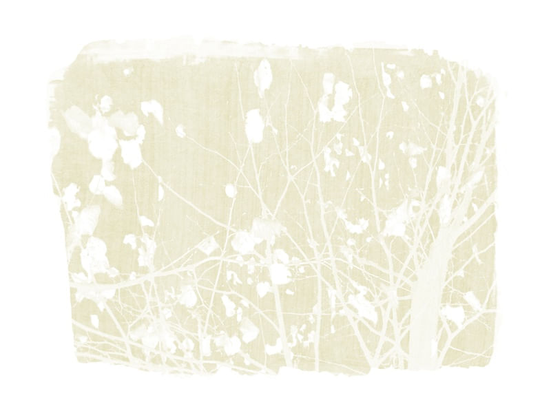 FOLIAGE ON BEIGE