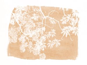 TREE FOLIAGE ON ORANGE