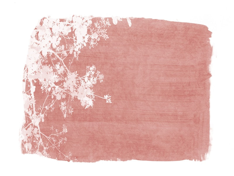TREE FOLIAGE ON RED