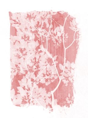 TREE FOLIAGE ON PINK