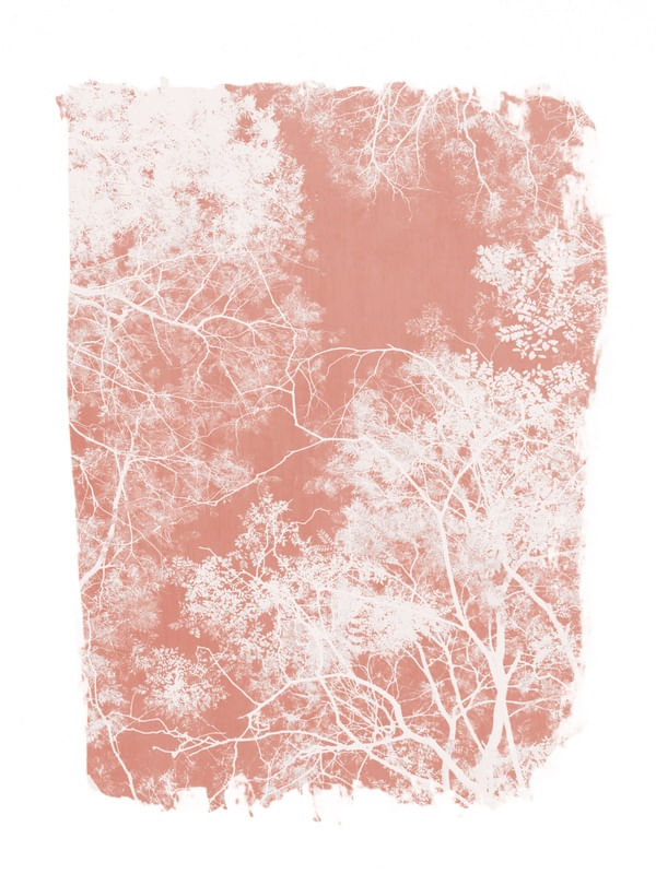 TREE FOLIAGE ON CORAL