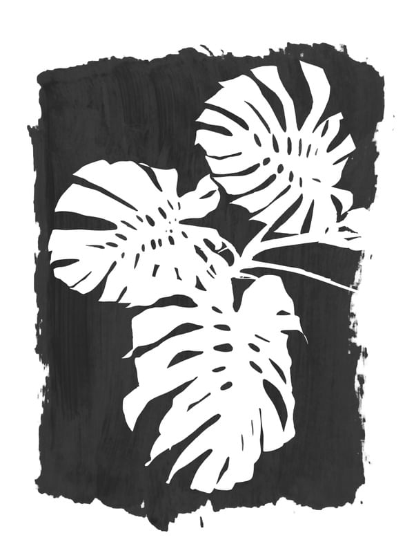 MONSTERA FOLIAGE SILHOUETTE ON BLACK PAINT STROKE