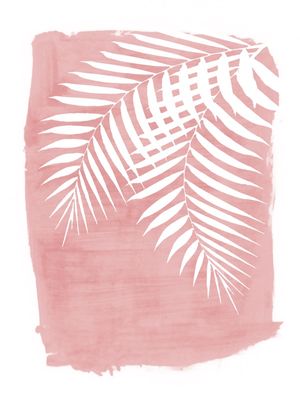 PALM LEAVES SILHOUETTE ON PINK PAINT