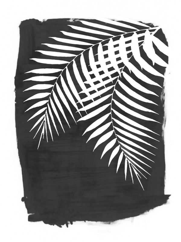 PALM LEAVES SILHOUETTE ON BLACK PAINT