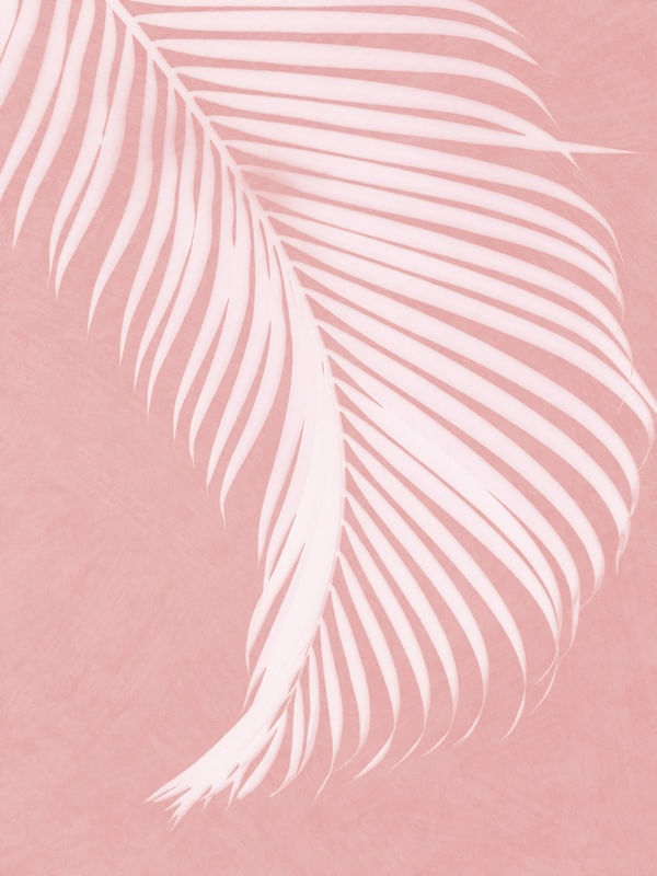 PALM LEAVES ON PINK I