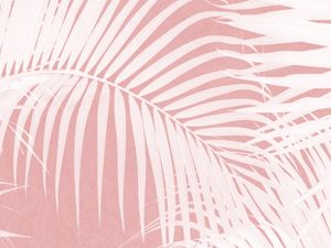 PALM LEAVES ON PINK IV
