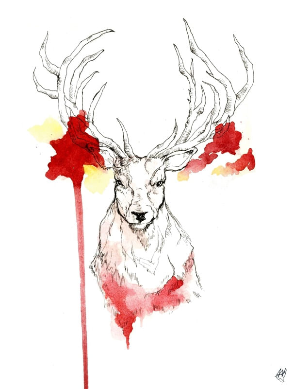 CERVUS ELAPHUS