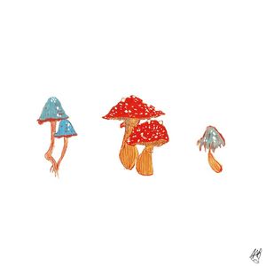 COGUMELOS EM TRIO