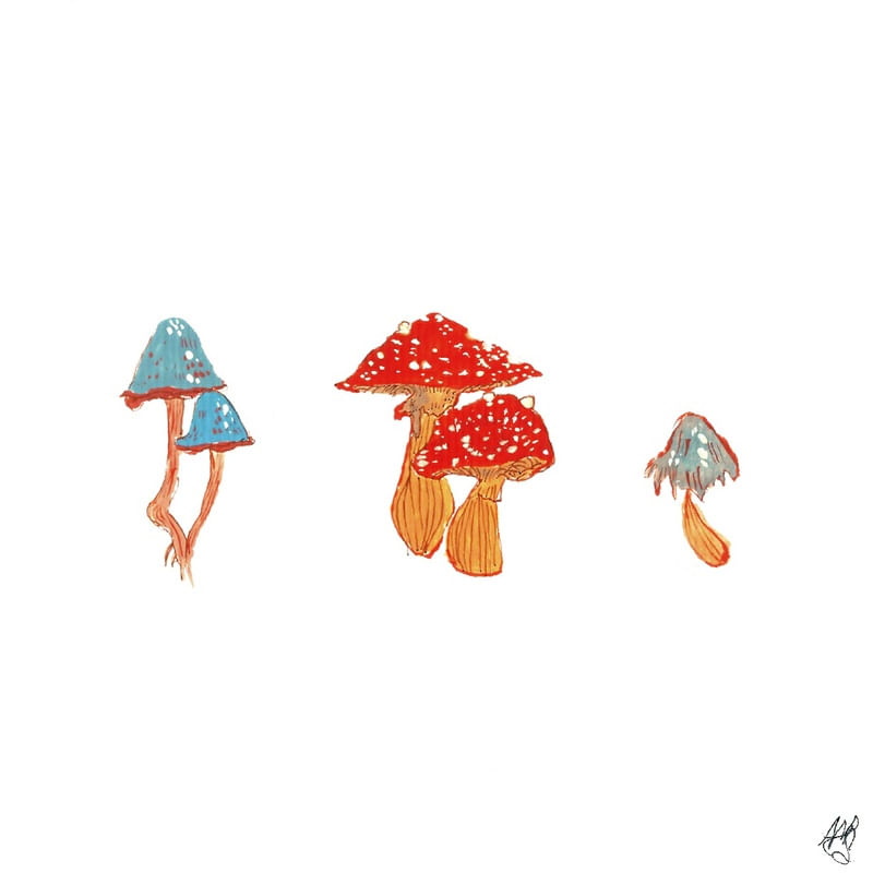 COGUMELOS EM TRIO