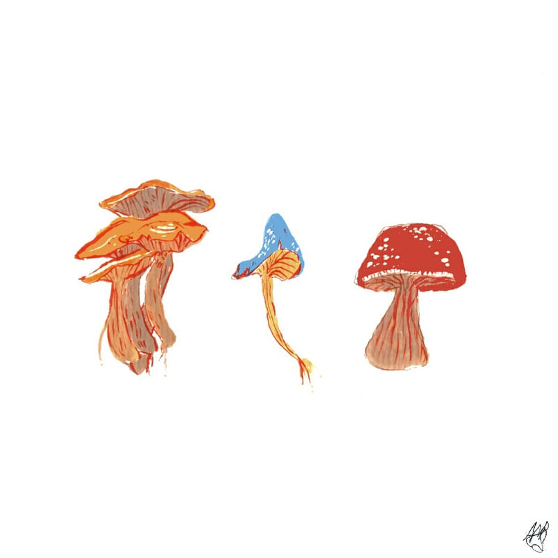 COGUMELOS EM TRIO 2