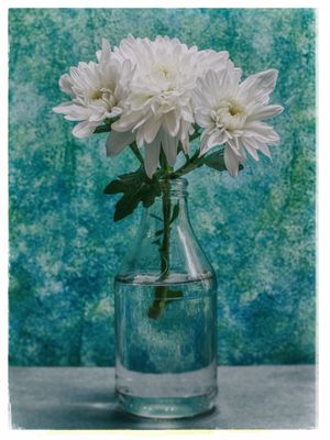WHITE FLORAL 01