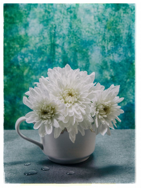 WHITE FLORAL 02