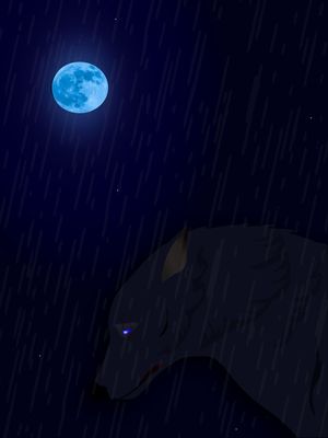 CHORO DO LOBO