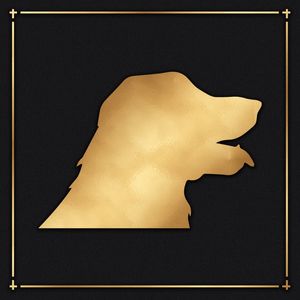 GOLDEN RETRIEVER OURO