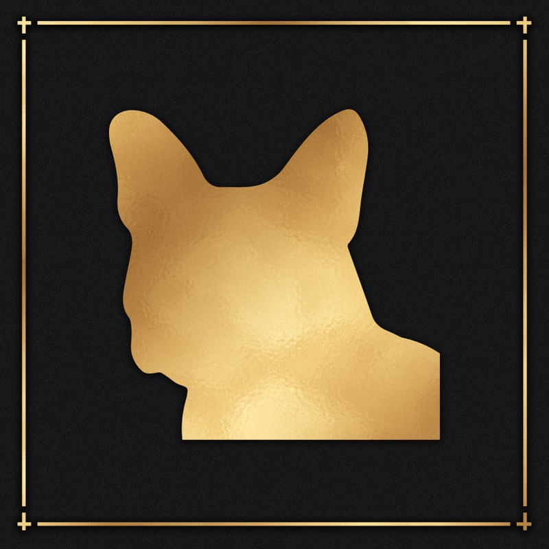 BULLDOG
