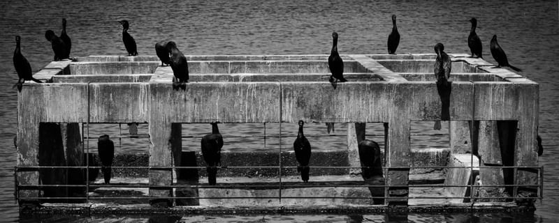 ILHA DE CONCRETO II