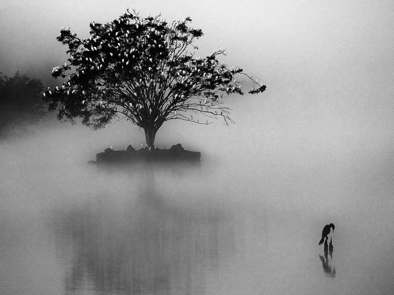 A ILHA NO AMANHECER