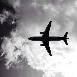 FLY AWAY SP