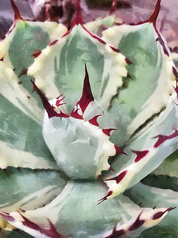 HC0492