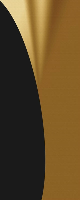 ABSTRATO DOURADO E PRETO PANORÂMICO ARTISTA GLORIA RIMES