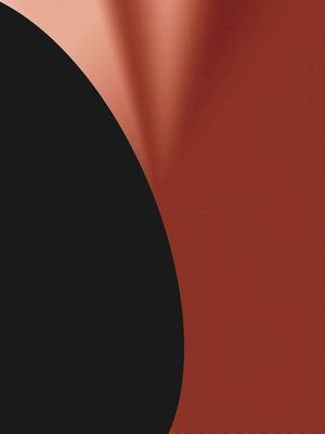 ABSTRATO ROSA GLAMOUR E PRETO ARTISTA GLORIA RIMES