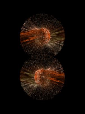 COSMOS I