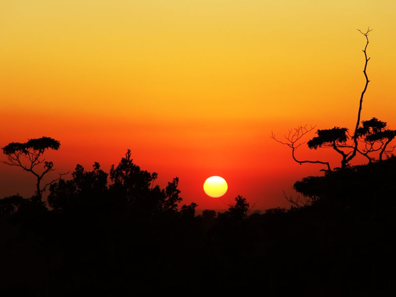 POR DO SOL ESPLENDOROSO