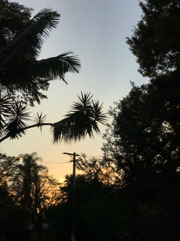 CREPÚSCULO DAWN