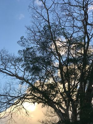 AMANHECER_