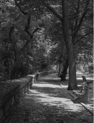 RUA DE PARQUE