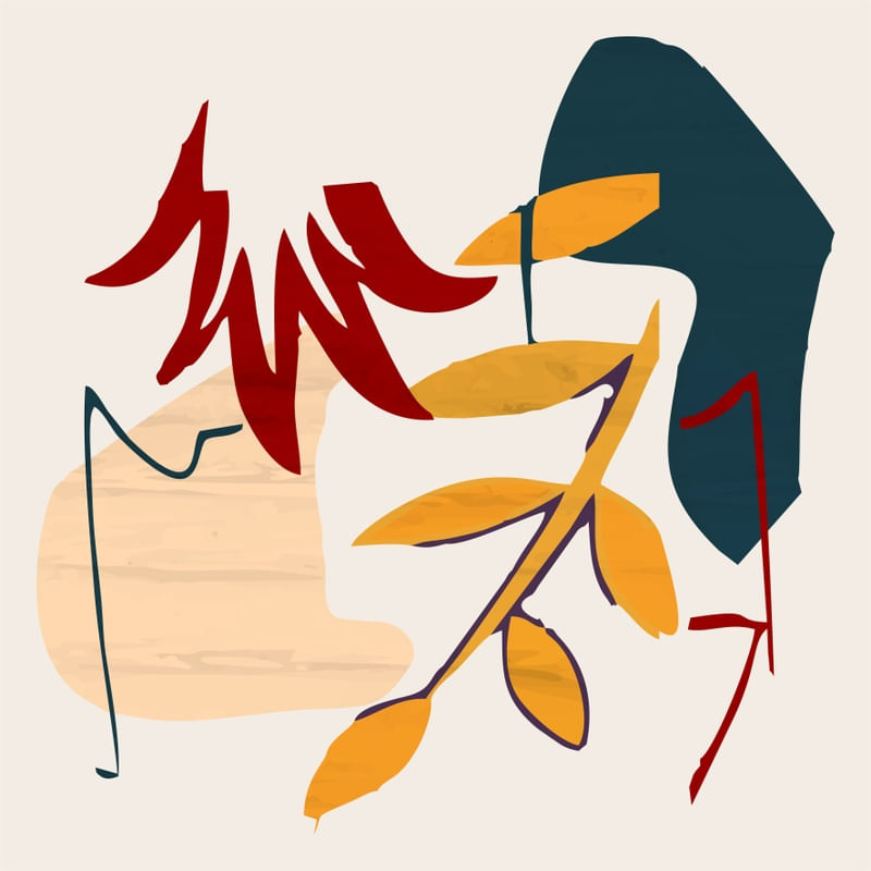 FLORA 1 - DV