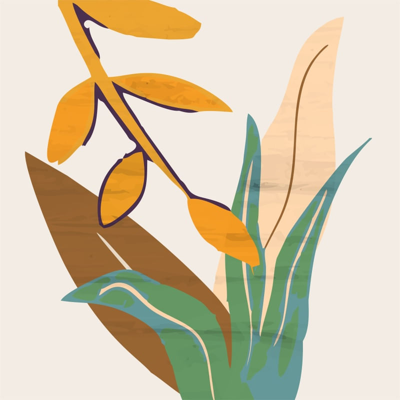 FLORA 2 - DV