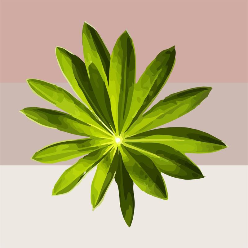GEOFLORA 7 - DV